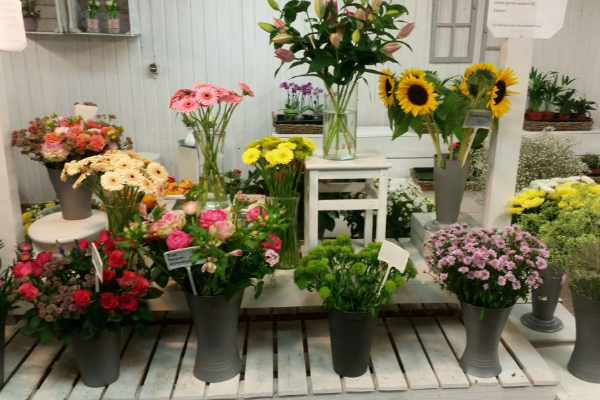 Bild 1 von Bloemen & Trends